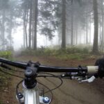 person riding on mountain bike in forest during foggy day